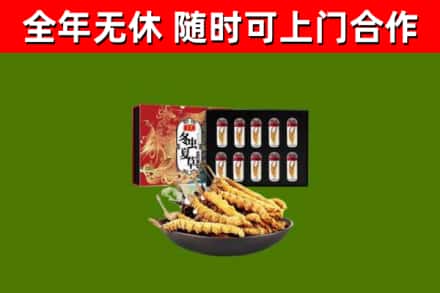 瑞昌回收冬虫夏草价格